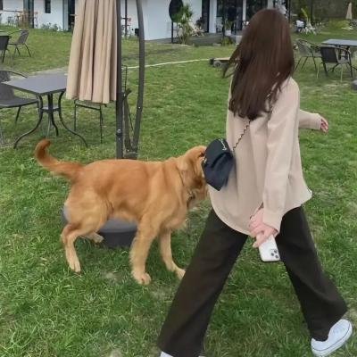 哈啰!毛小孩